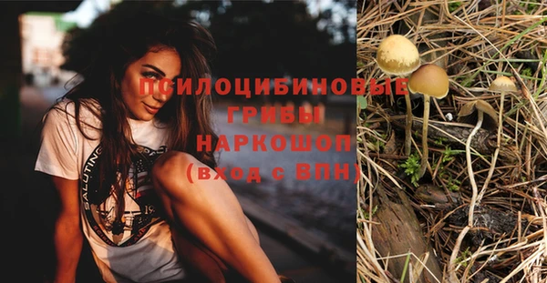 ALPHA PVP Армянск