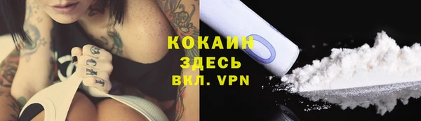 дживик Арсеньев
