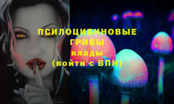 не бодяженный Аркадак
